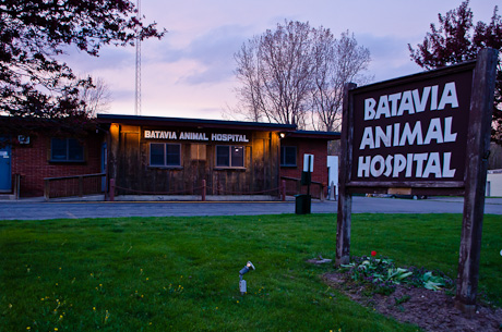 Batavia Animal Hospital planning entirely new facility | The Batavian